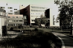 Neubau 1b 2004