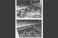 Herzgruppe VK-Ludweiler Schwimmsport